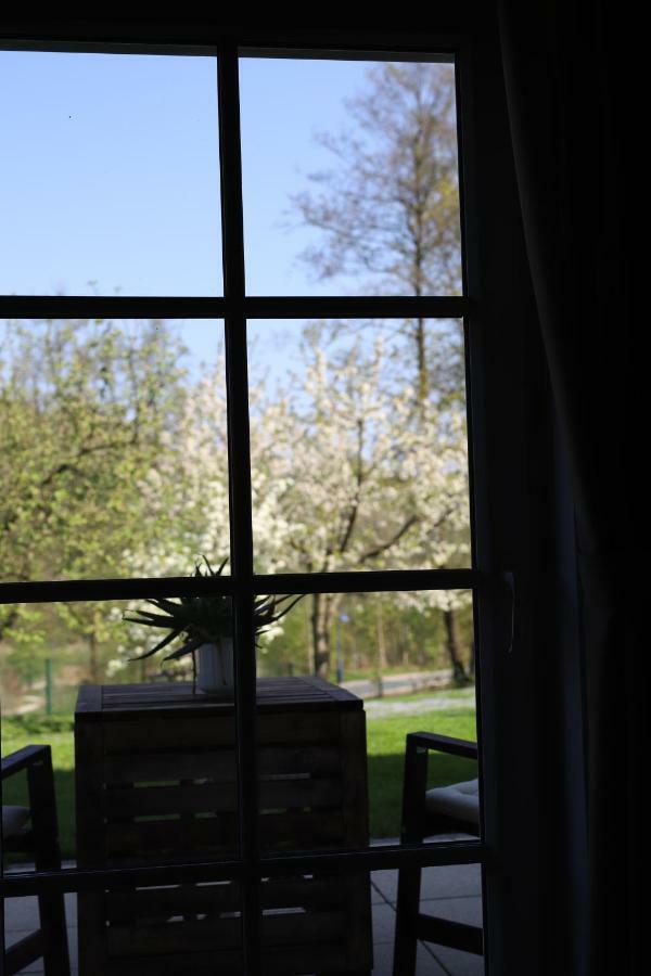 Ferienwohnung Lucia Bad Schlema Buitenkant foto